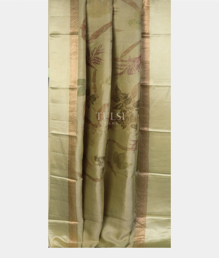 beige-pure-silk-saree-t744723-t74423-b
