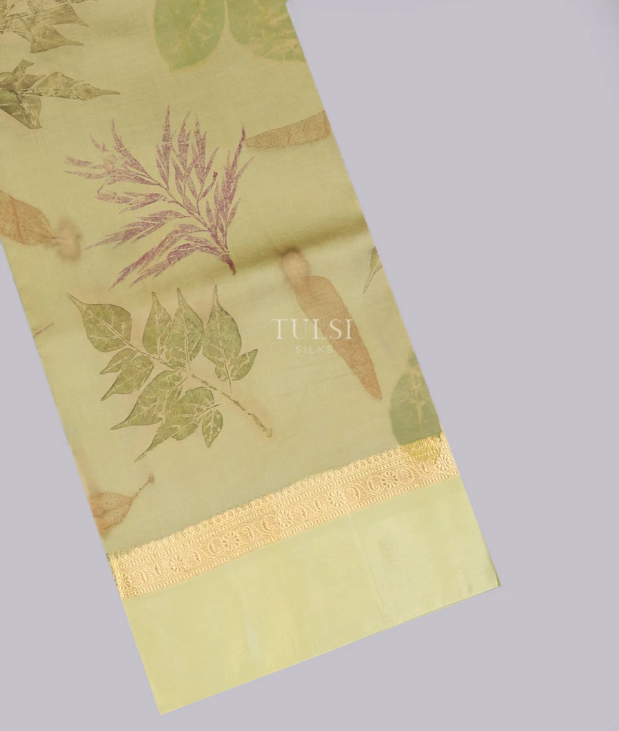 Greenish Beige Pure Silk Saree T744723-image
