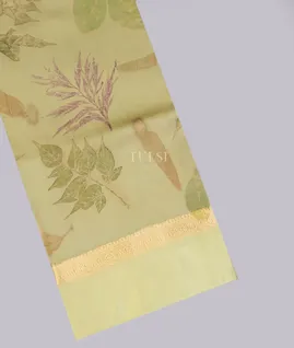 greenish-beige-pure-silk-saree-t744723-t74423-a