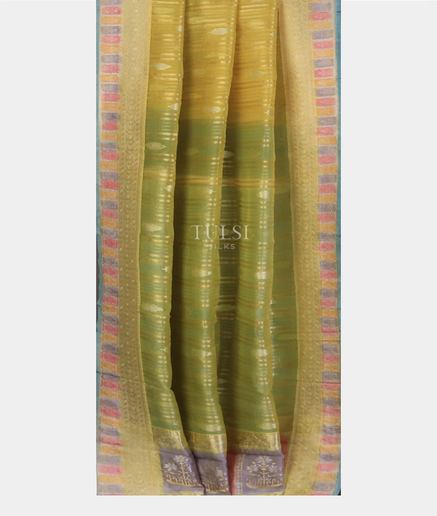 yellow-and-green-banaras-organza-saree-t750728-t750728-b
