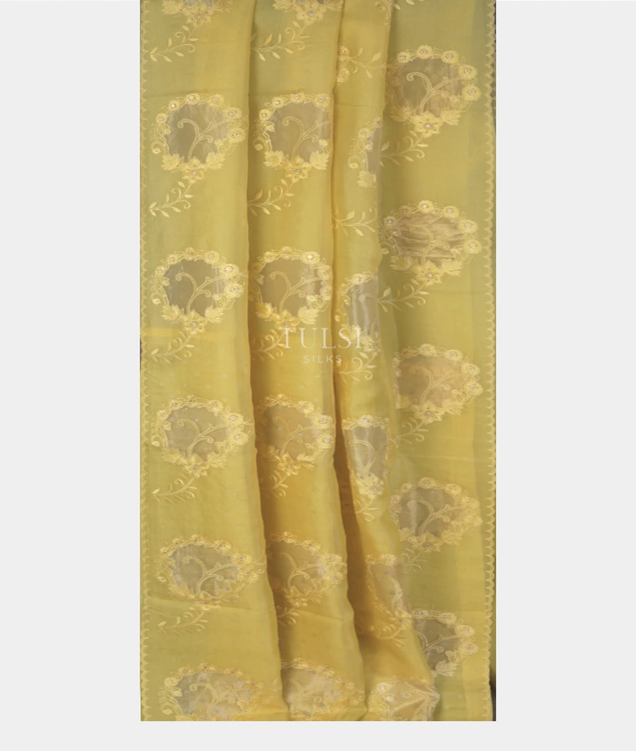 yellow-tussar-organza-embroidery-saree-t746587-t746587-b