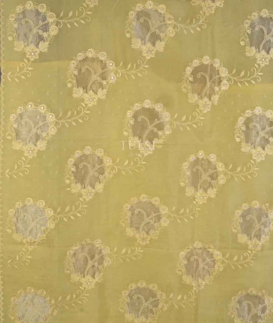 yellow-tussar-organza-embroidery-saree-t746587-t746587-d