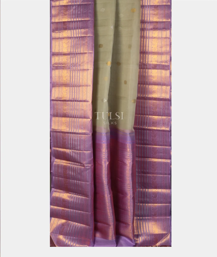 light-greenish-grey-kora-kanjivaram-silk-saree-t750593-t750593-b