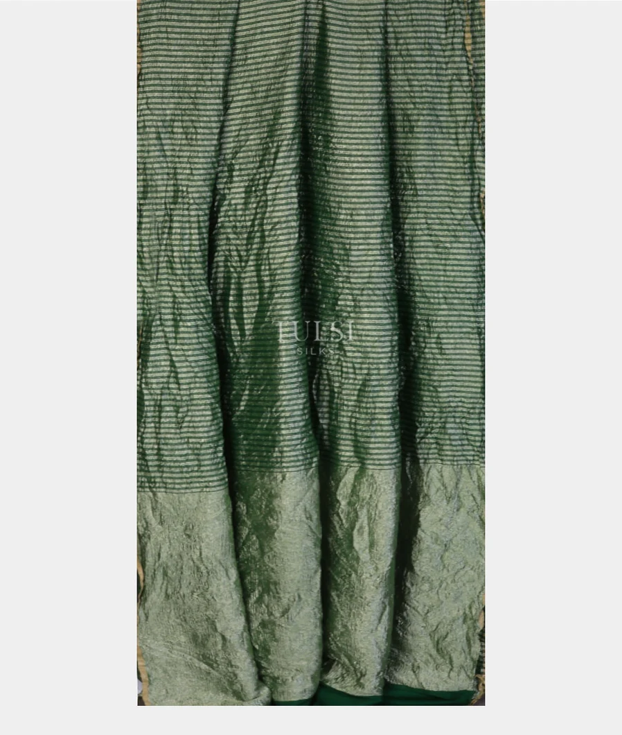 green-munga-tussar-saree-t730463-t730463-b