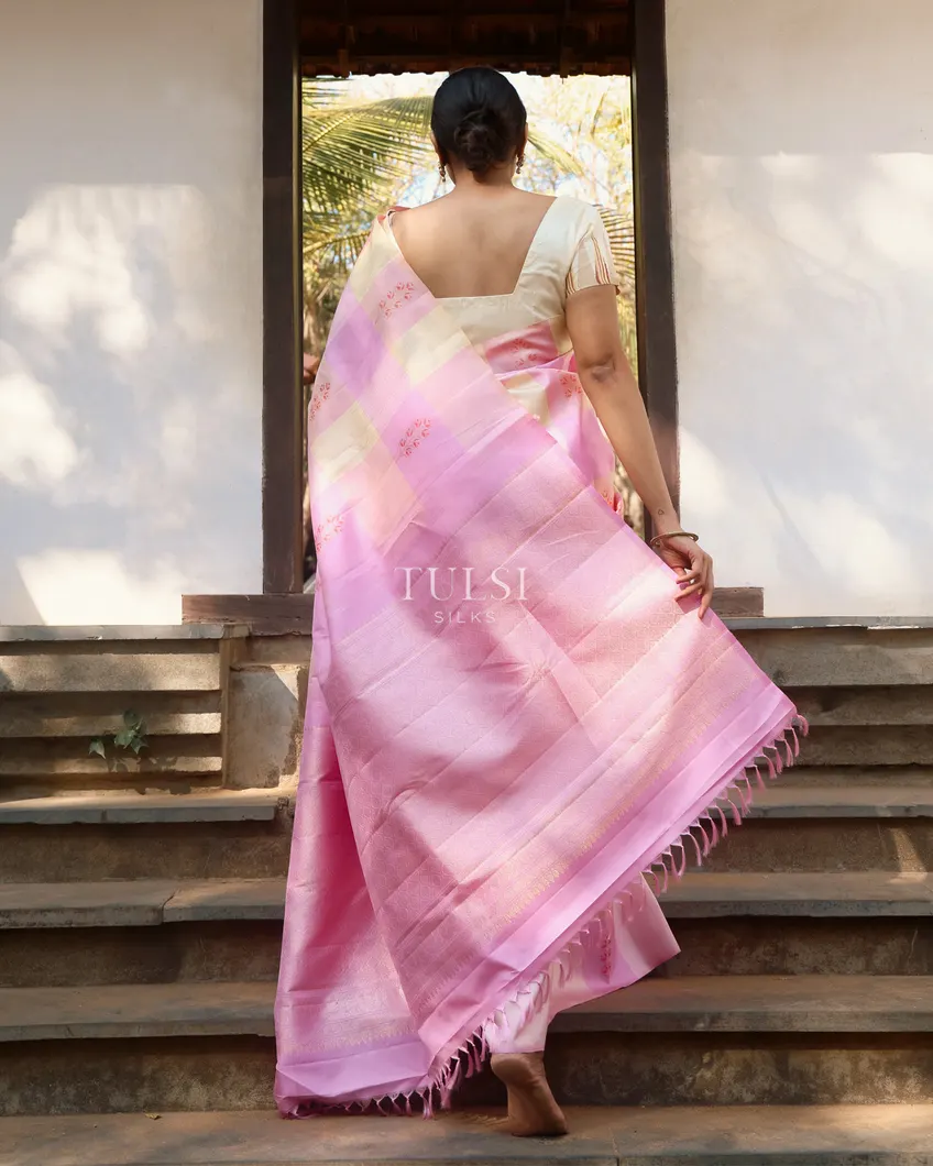 multicolour-kanjivaram-silk-saree-t742870-t742870-d