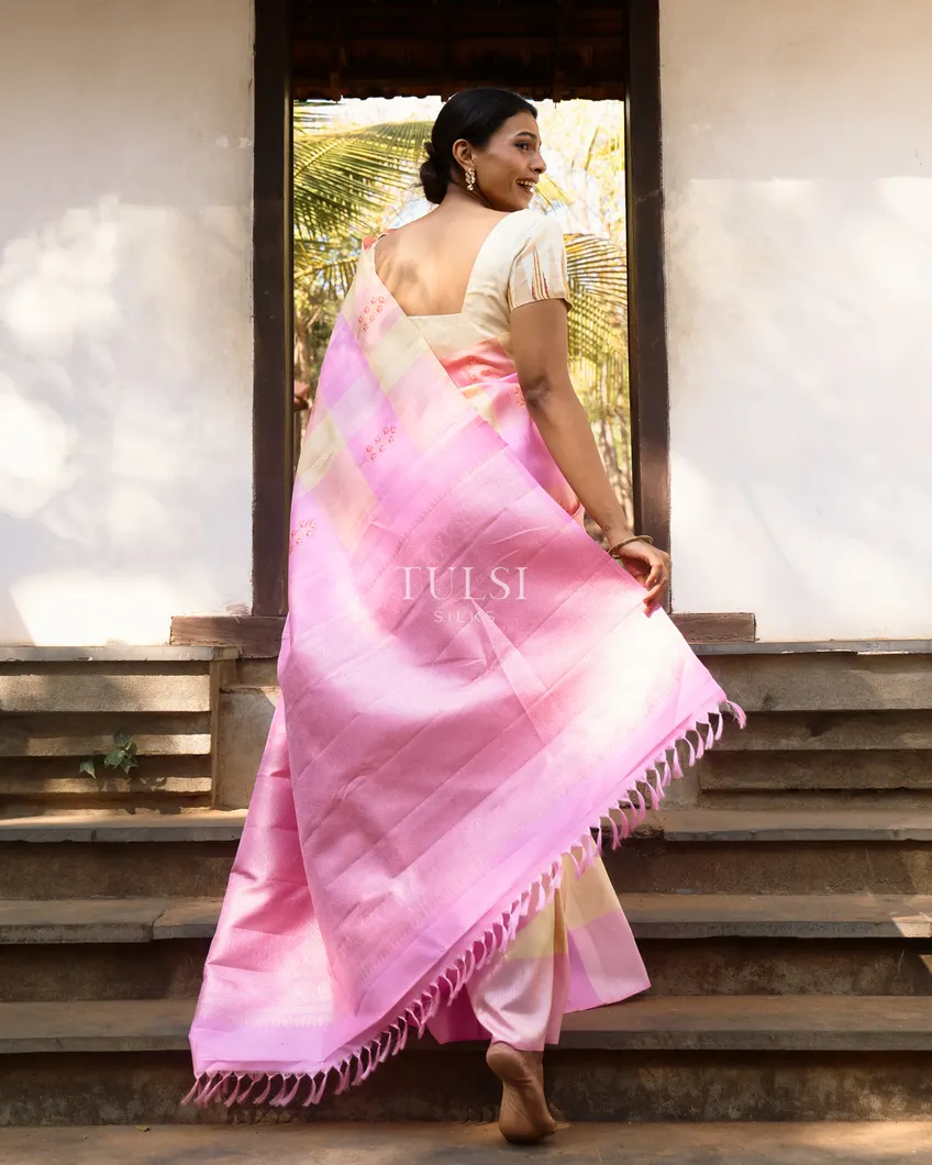 multicolour-kanjivaram-silk-saree-t742870-t742870-e