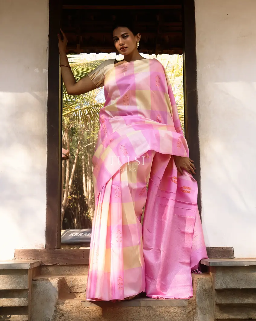 multicolour-kanjivaram-silk-saree-t742870-t742870-i