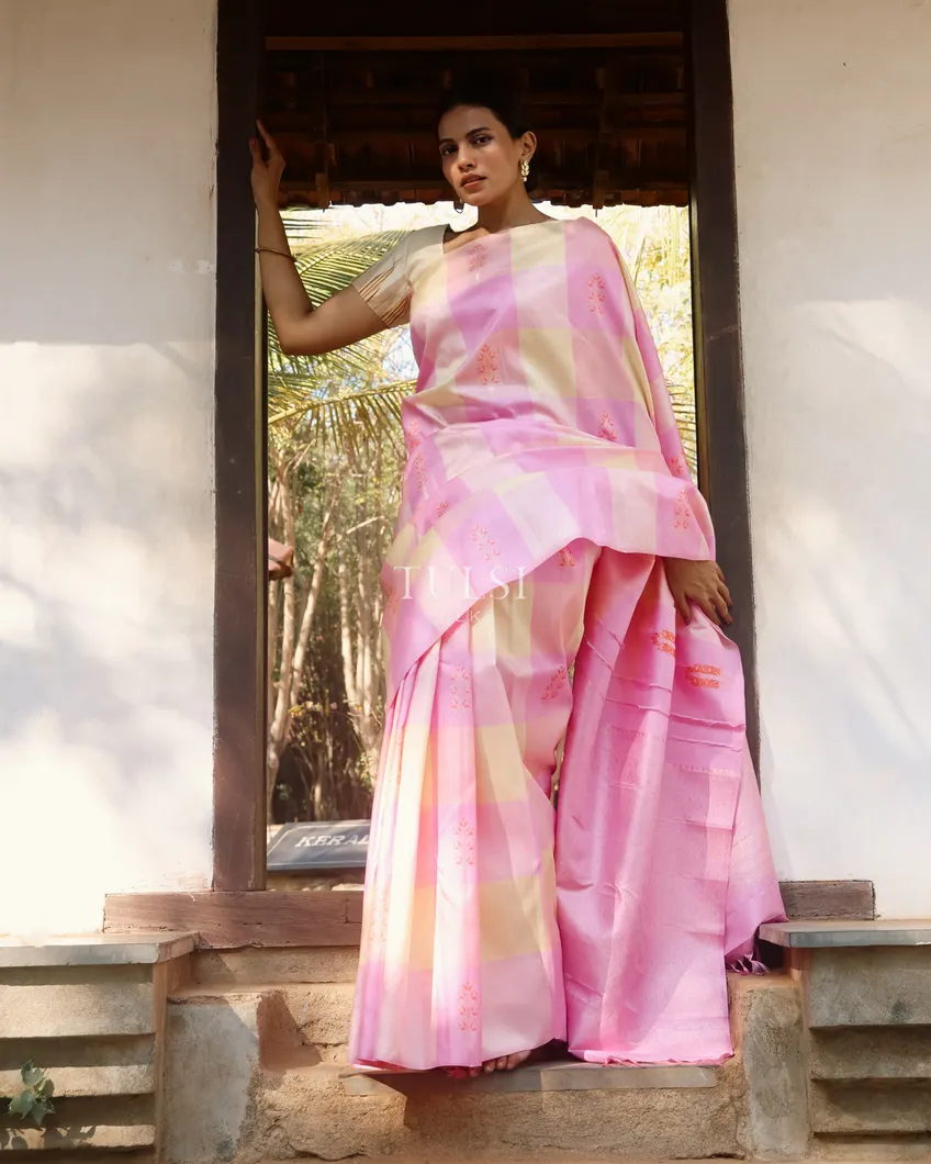 multicolour-kanjivaram-silk-saree-t742870-t742870-j