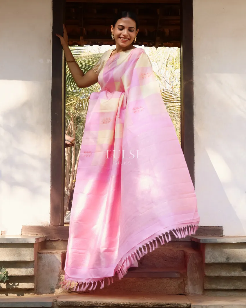 multicolour-kanjivaram-silk-saree-t742870-t742870-k