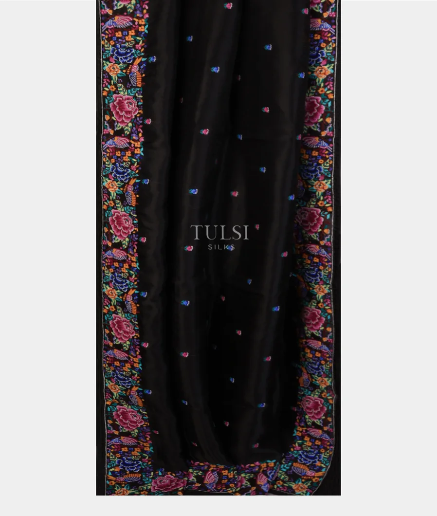 black-kora-organza-embroidery-saree-t748005-t748005-b