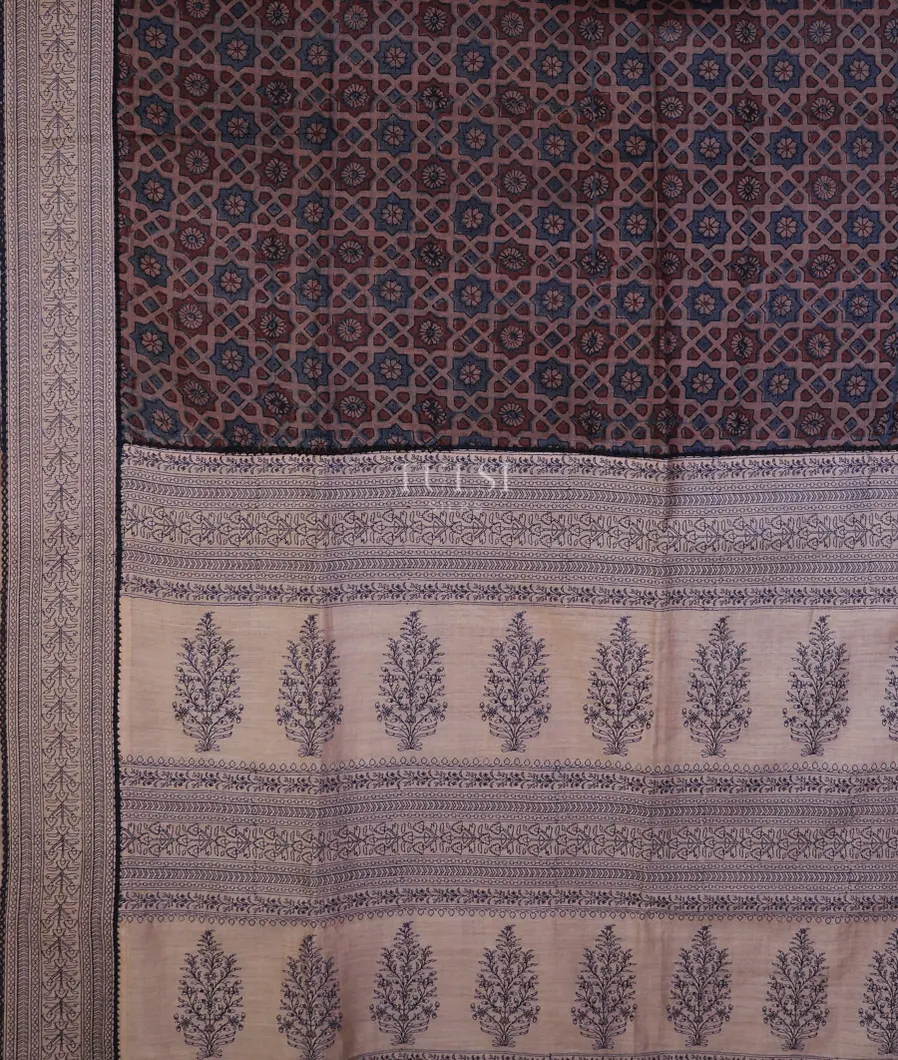 multicolour-tussar-embroidery-saree-t749918-t749918-d