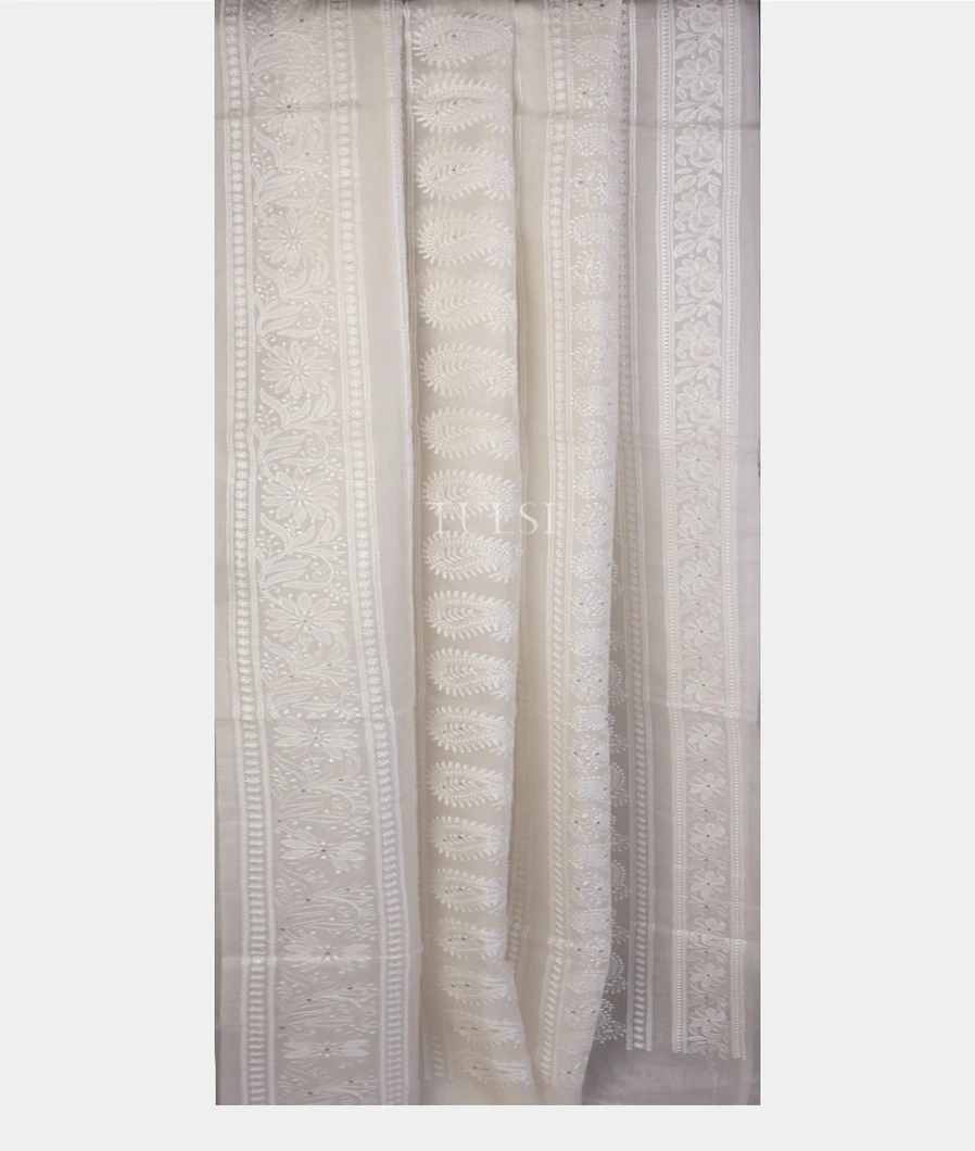 white-kora-organza-embroidery-saree-t752817-t752817-b