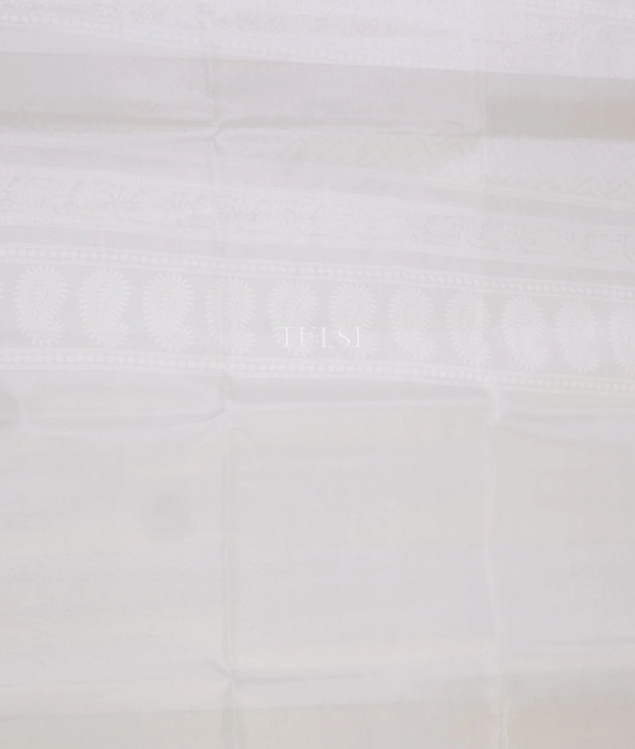white-kora-organza-embroidery-saree-t752817-t752817-c
