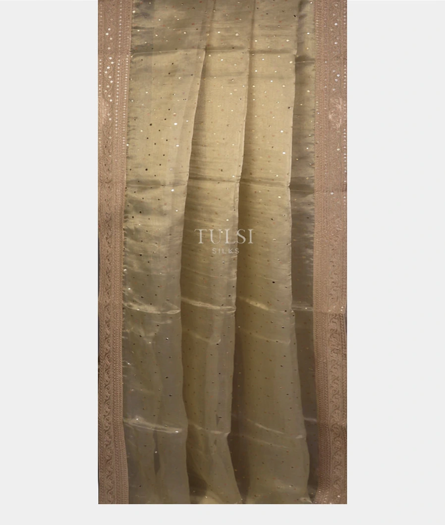 beige-crepe-embroidery-silk-saree-t722082-t722082-b