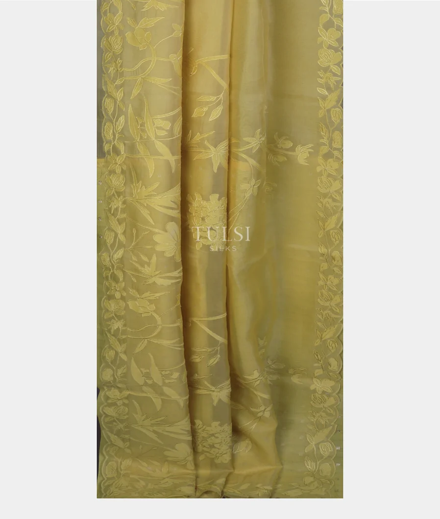 yellow-kora-organza-embroidery-saree-t746979-t746979-b