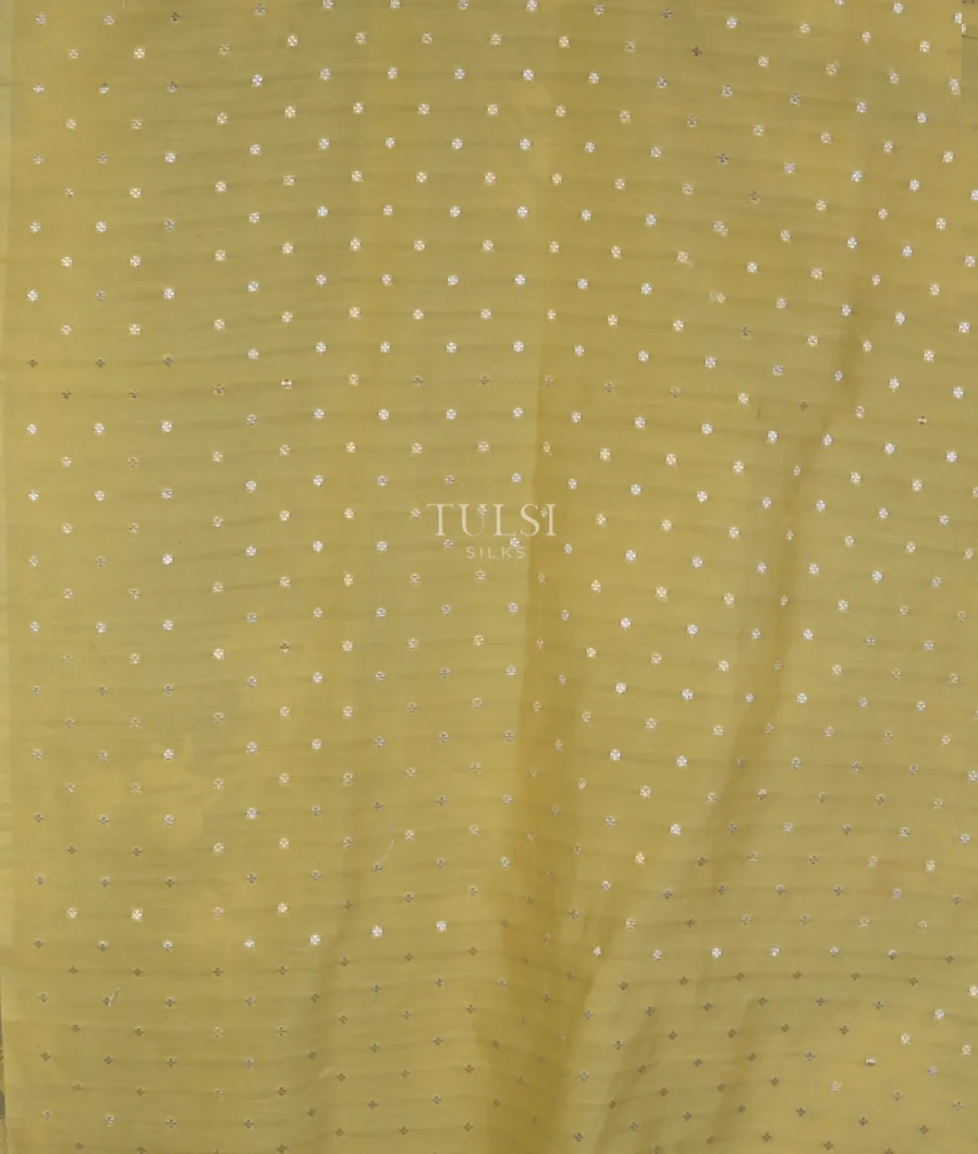 yellow-kora-organza-embroidery-saree-t746979-t746979-c