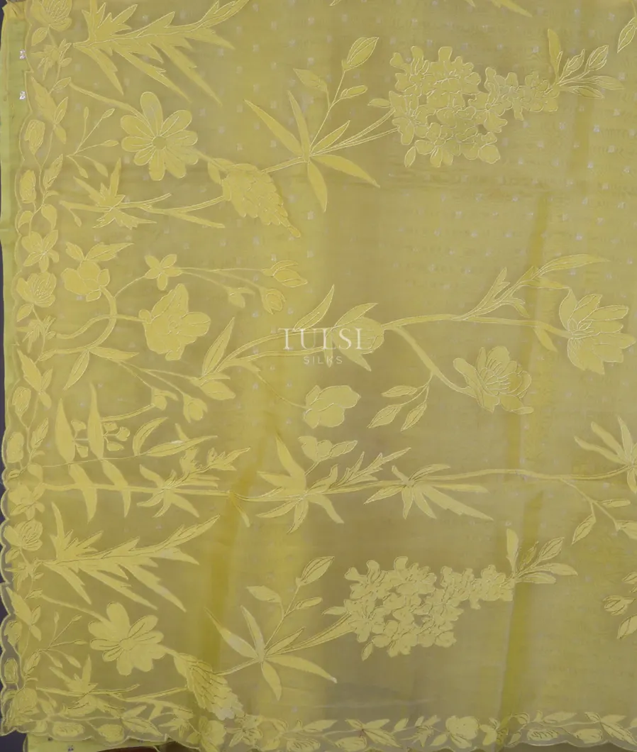 yellow-kora-organza-embroidery-saree-t746979-t746979-d