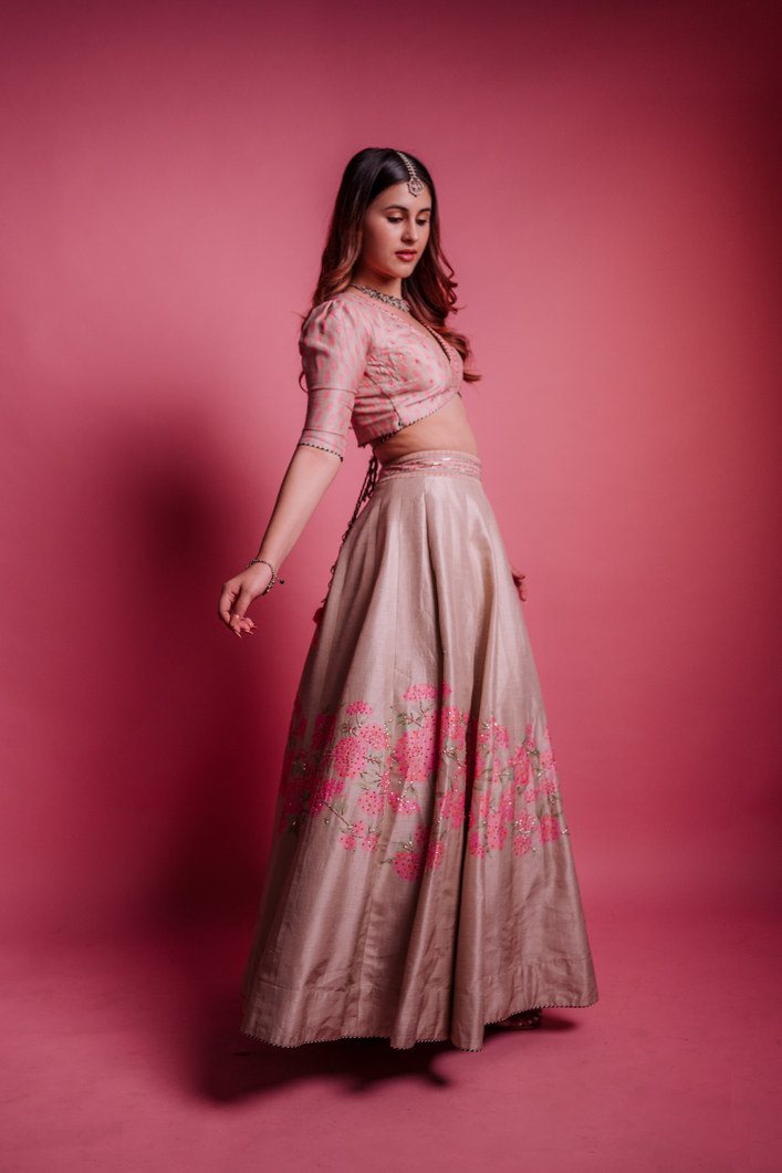 bewildered-lehenga-set-bnik2202-d