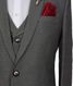 BoutonniÂre Grey Three Piece Suit - ALT 256/32