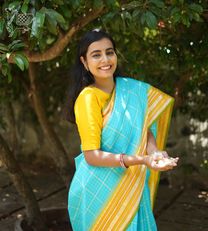 Light Blue Kanchipuram Silk Saree3