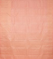 Pale Pink Kanchipuram Silk Saree3
