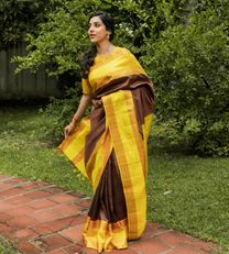 Brown Kanchipuram Silk Saree1