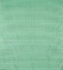 Pistachio Green Kanchipuram Silk Saree2