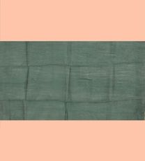 Forest Green Tussar Saree4