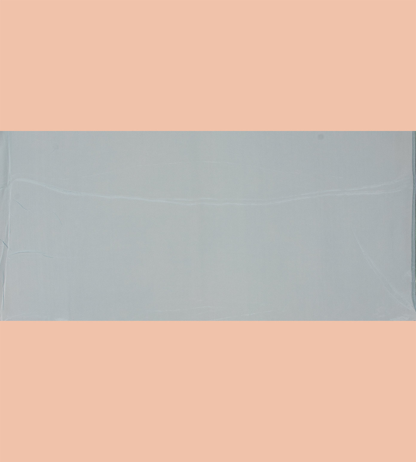 Light Blue Organza Embroidery Saree4