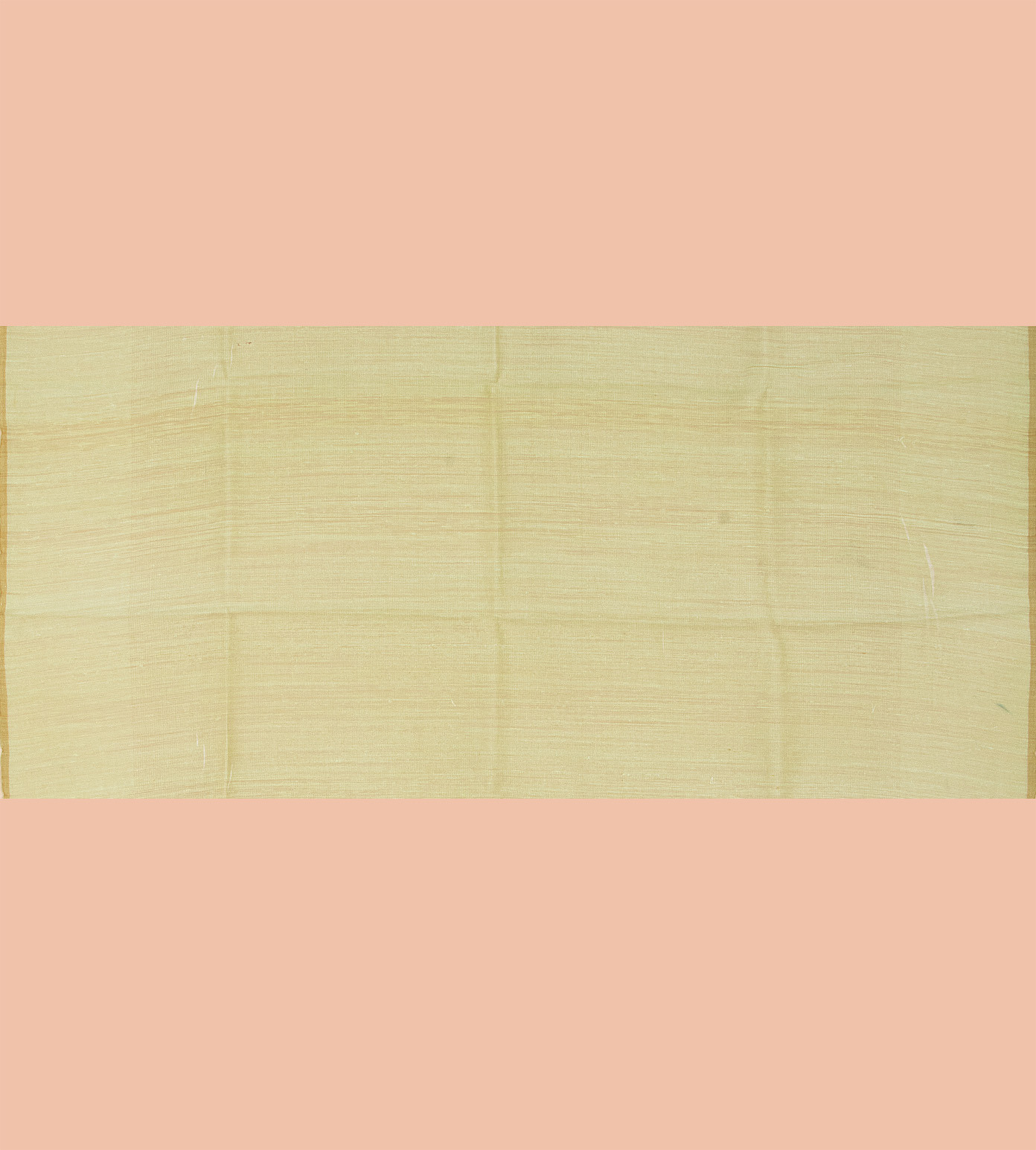 Pastel Green Organza Saree4