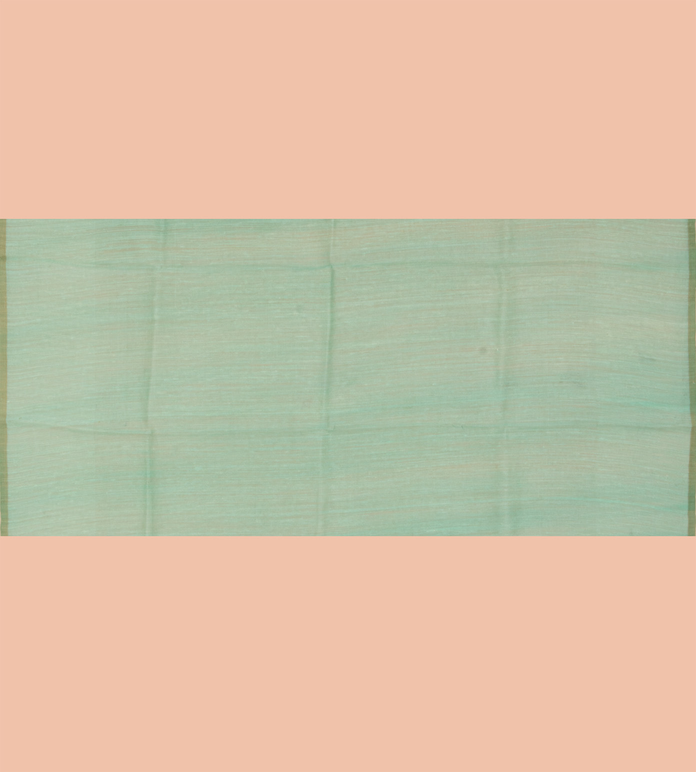 Light Green Organza Printed Saree4