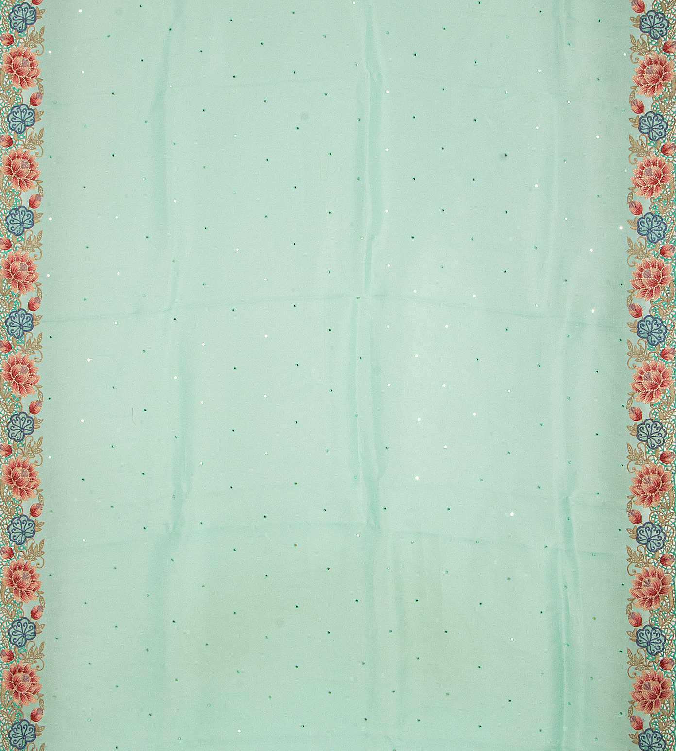 Light Blue Organza Embroidery Saree2