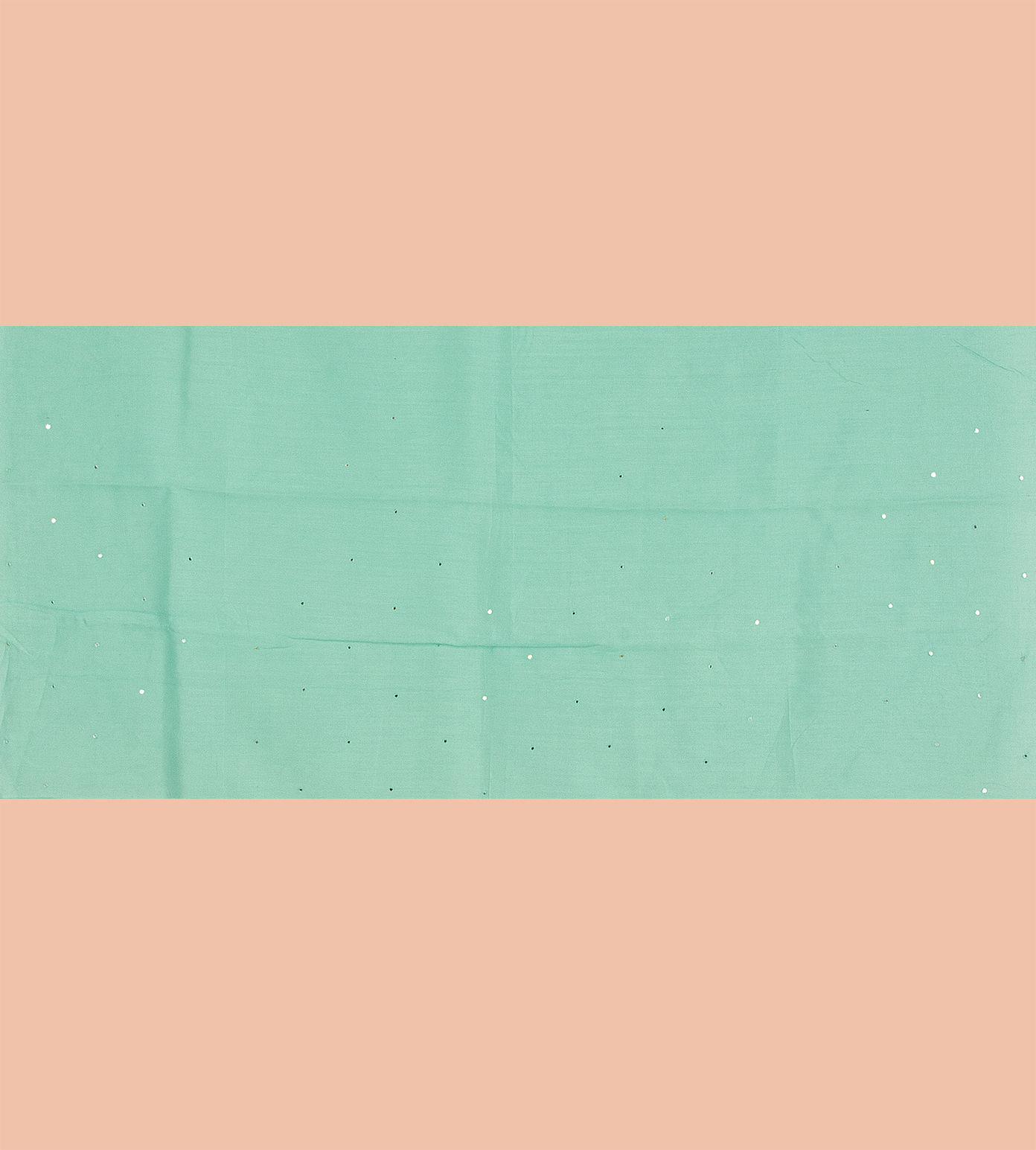 Light Blue Organza Embroidery Saree4