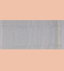 Grey Organza Embroidery Tissue Saree4