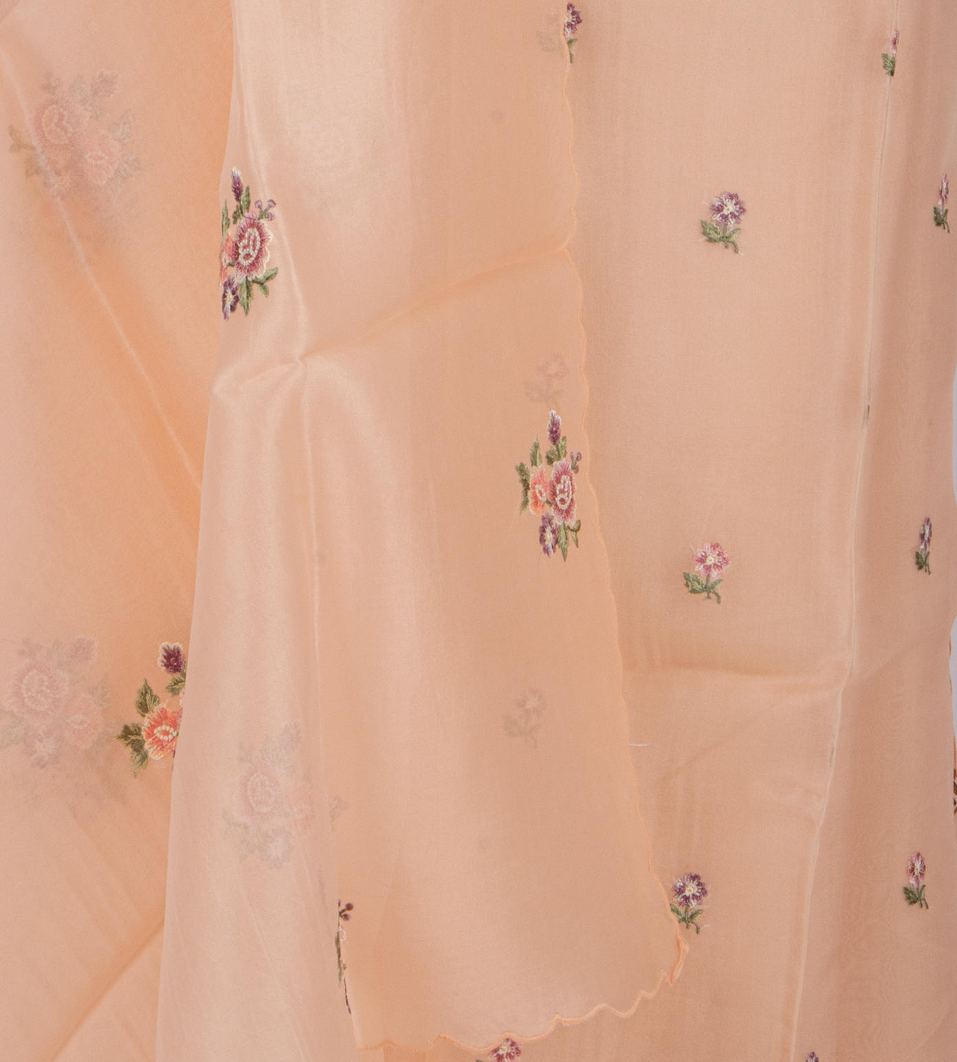 Light Peach Organza Salwar3