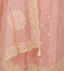Pink Organza Embroidery Salwar3