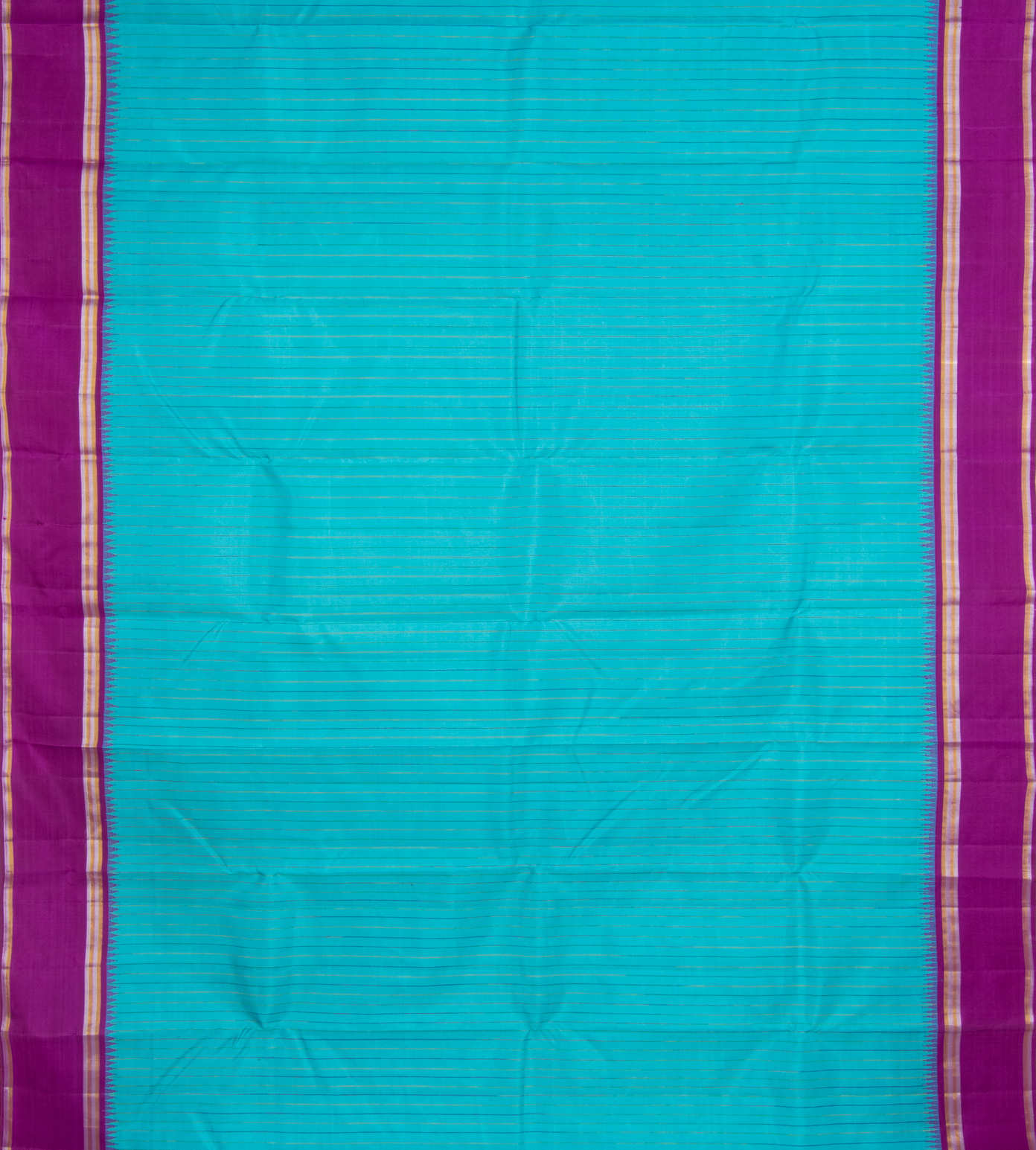 Light Blue Kanchipuram Silk Saree2
