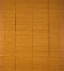 Mustard Yellow Tussar Saree2
