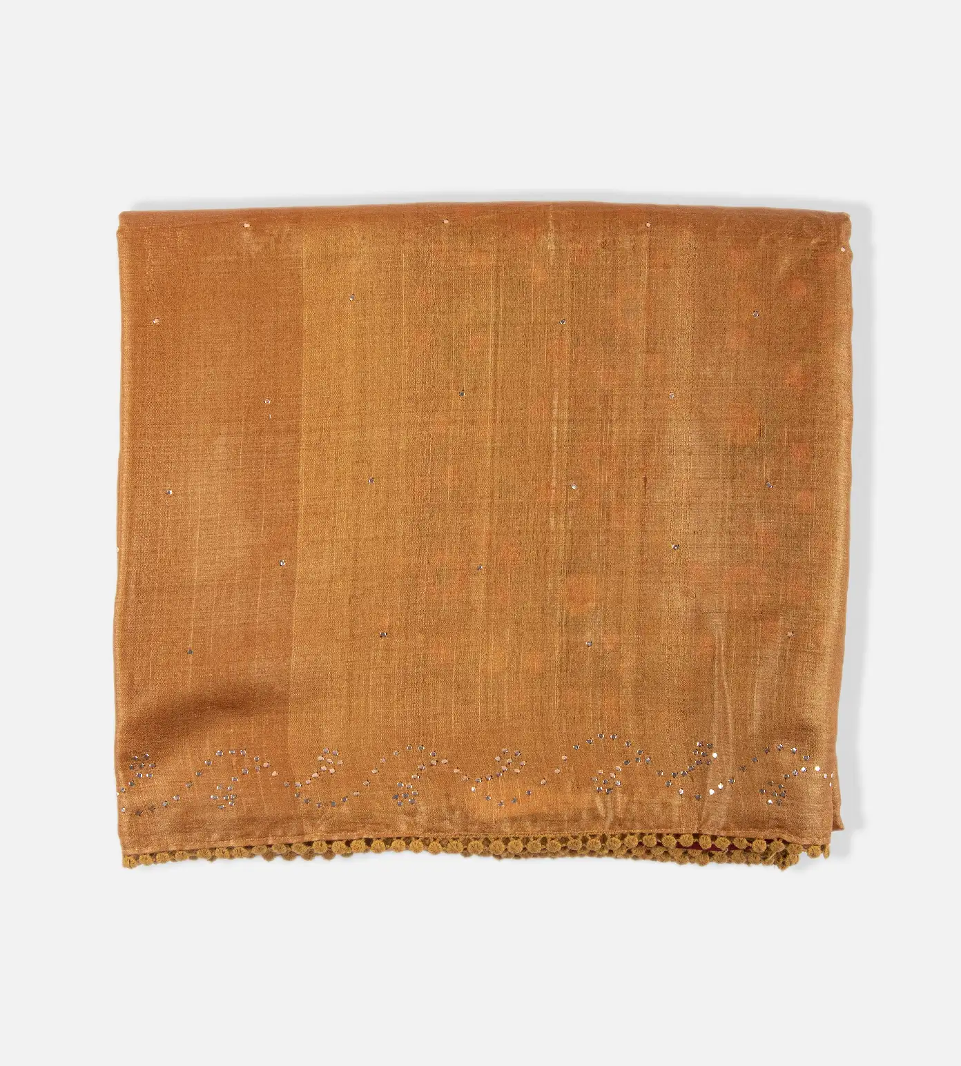 Deep Beige Tussar Saree1