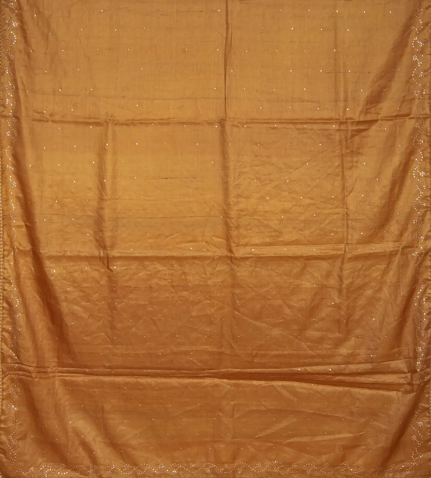 Deep Beige Tussar Saree2