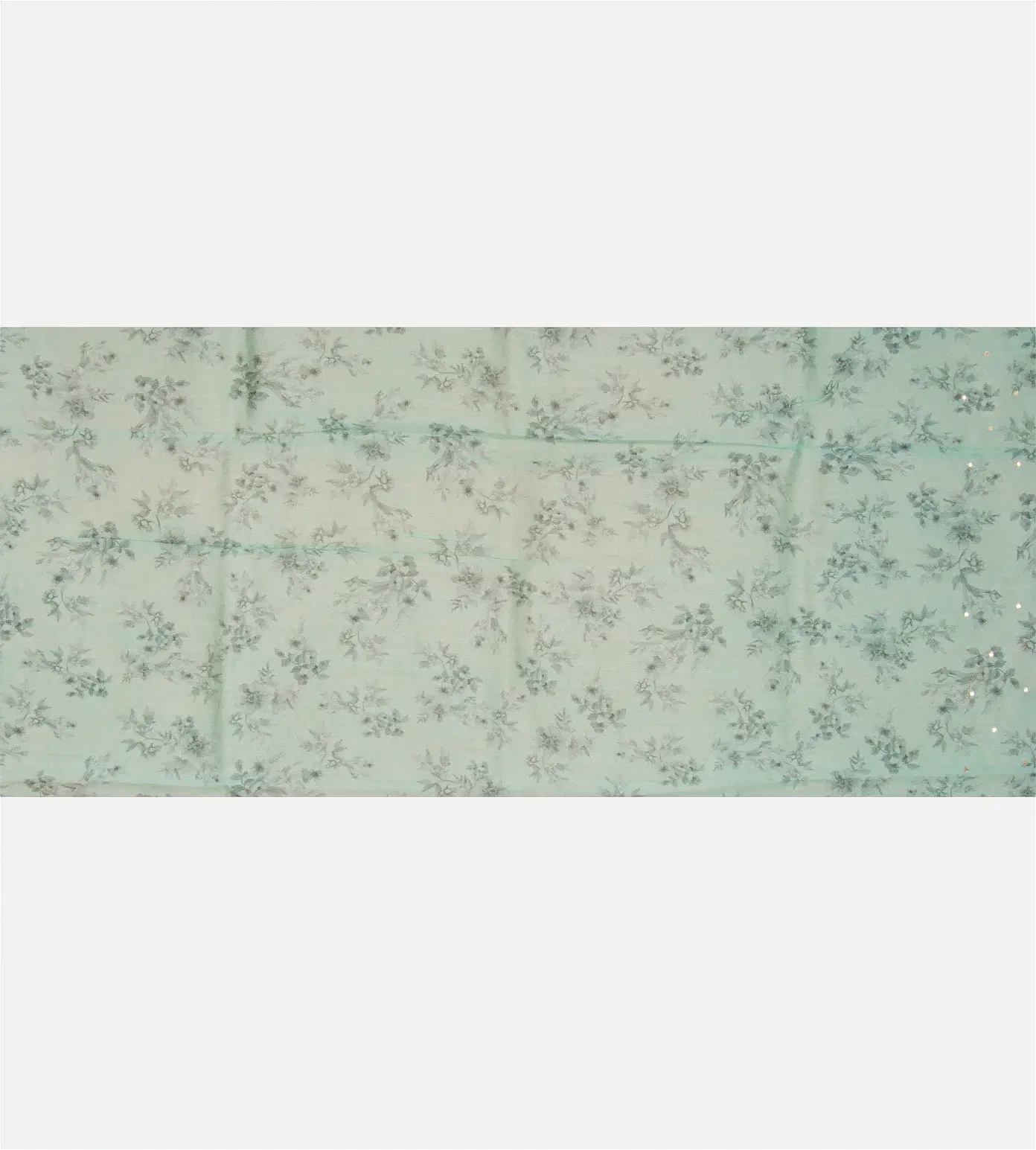 Light Blue Organza Embroidery Saree4