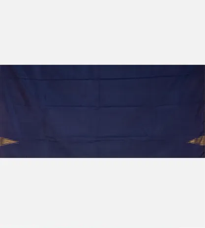 Light Blue Kanchipuram Silk Saree4