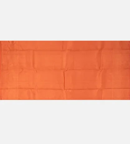 Orange Kanchipuram Silk Saree4
