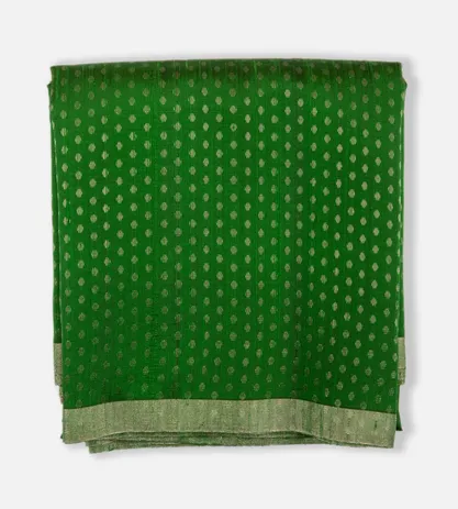 Green Raw Silk Saree1
