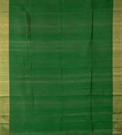 Green Raw Silk Saree2