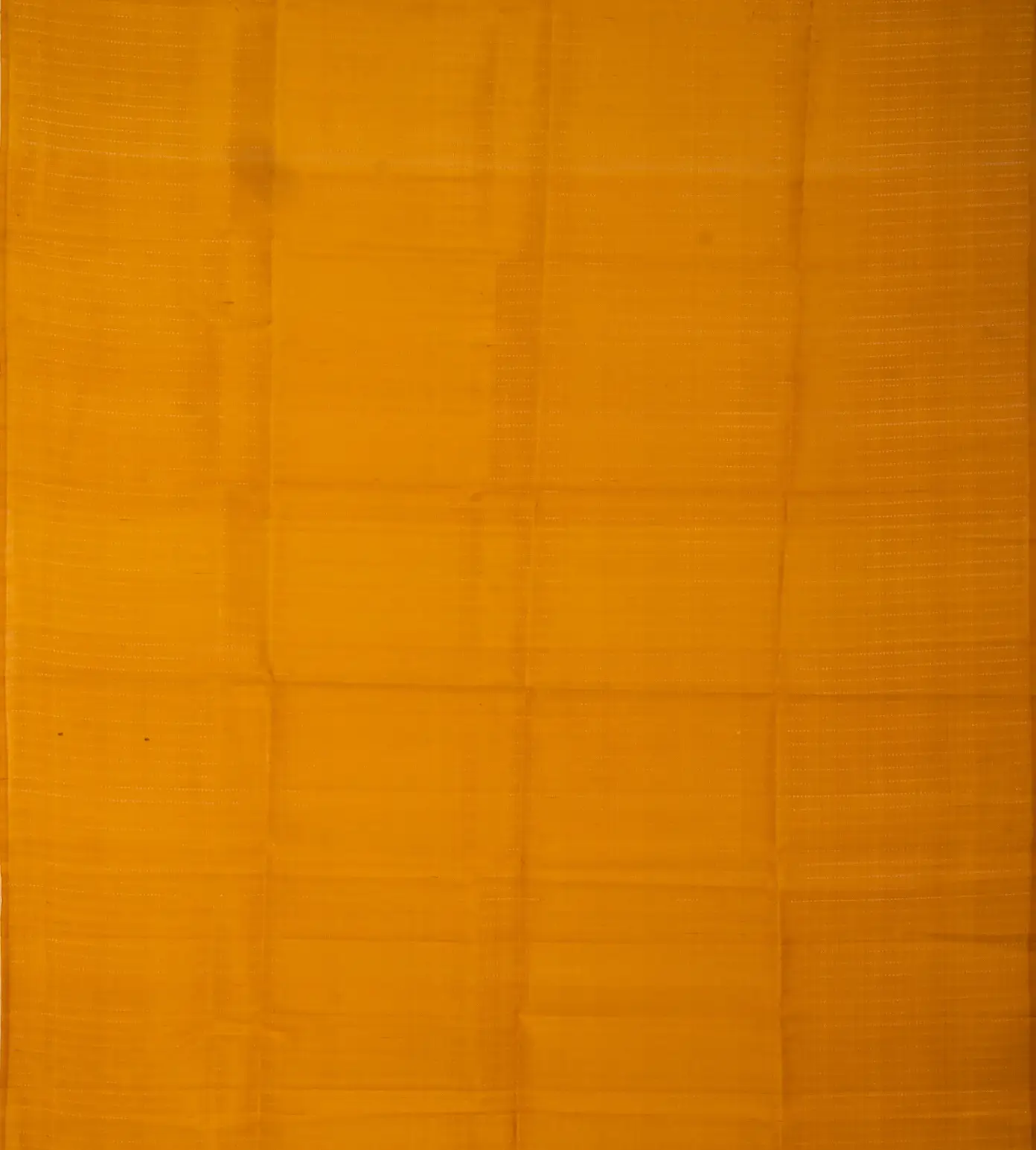 Mustard Yellow Raw Silk Saree2