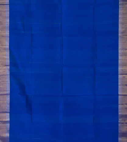 Blue Raw Silk Saree2