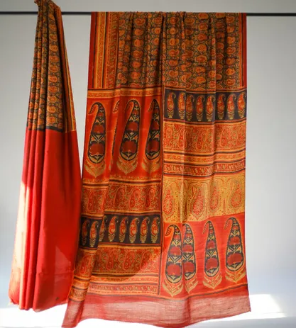 Multi Colour Duppiyan Silk With Ajrakh Print Saree1