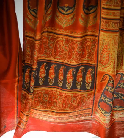 Multi Colour Dupion Silk With Ajrakh Print Saree2