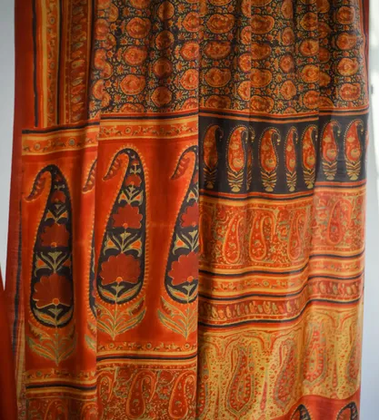 Multi Colour Dupion Silk With Ajrakh Print Saree3